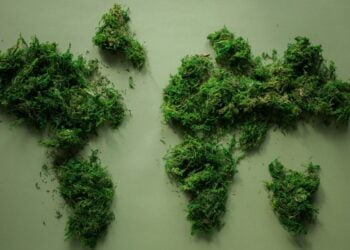 Świat pod kloszem - World map made of green plants