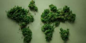 Świat pod kloszem - World map made of green plants