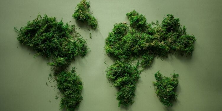 Świat pod kloszem - World map made of green plants