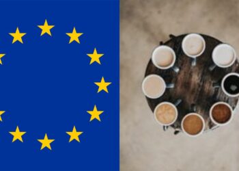 Zarządzanie różnorodnością w małych i średnich przedsiębiorstwach (MŚP)