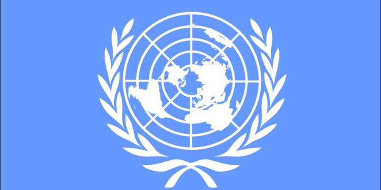 united nations, international, organization