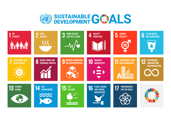 Cele zrównoważonego rozwoju wg. programu ONZ