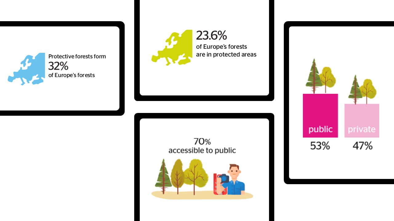 piktogramy z https://foresteurope.org/