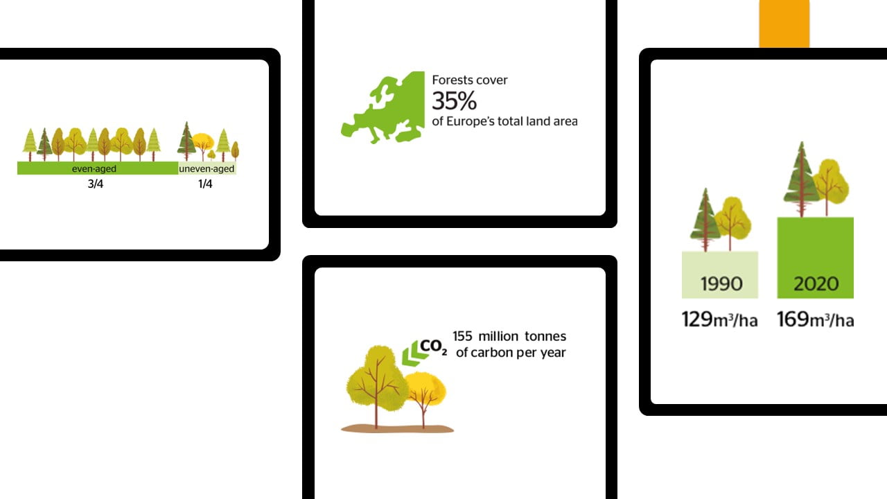 piktogramy z https://foresteurope.org/