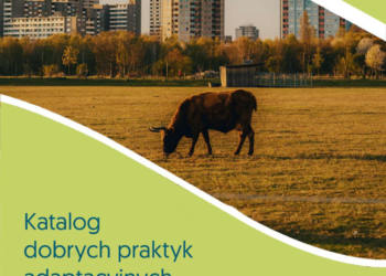 Katalog Dobrych Praktyk Adaptacyjnych. Klimada 2.0