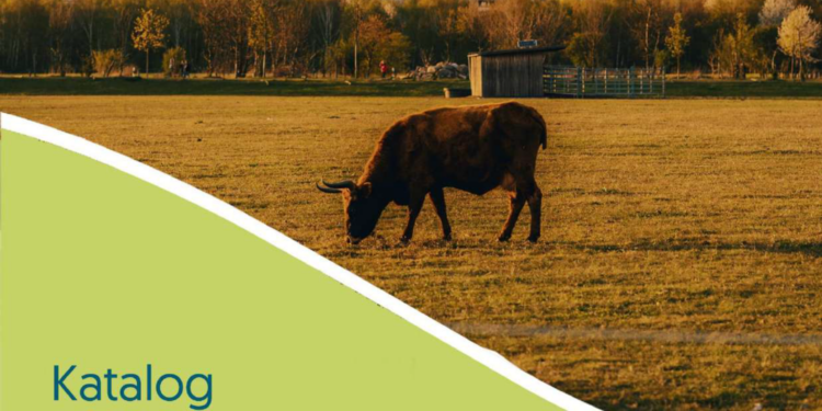 Katalog Dobrych Praktyk Adaptacyjnych. Klimada 2.0