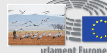 Odbudujmy Środowisko, póki możemy - Wspieramy Mieszkańców Europy i Polski w dążeniu do odbudowy naszego środowiska. Apelujemy o nieblokowanie Rozporządzenia o odbudowie bioróżnorodności w Europie