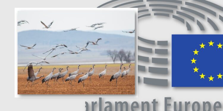 Odbudujmy Środowisko, póki możemy - Wspieramy Mieszkańców Europy i Polski w dążeniu do odbudowy naszego środowiska. Apelujemy o nieblokowanie Rozporządzenia o odbudowie bioróżnorodności w Europie