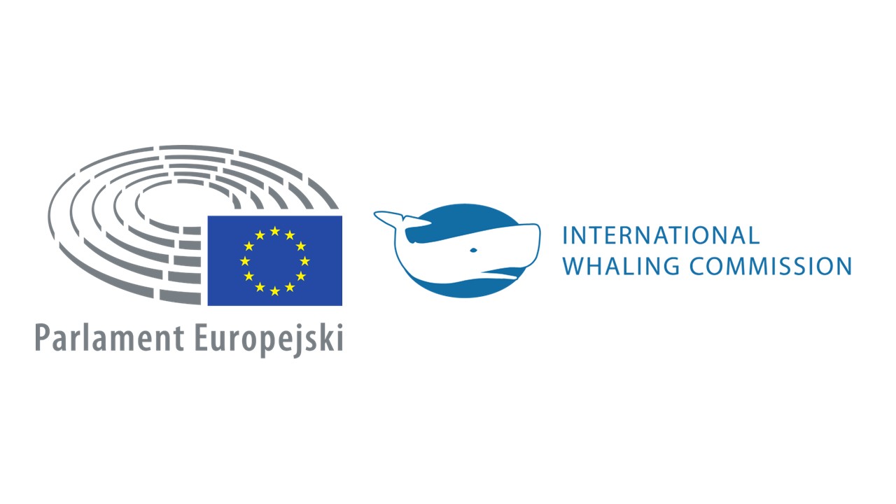 O uregulowaniu połowów wielorybów. Decyzja UE o stanowisku  do proponowanych zmian w Międzynarodowej konwencji o uregulowaniu połowów wielorybów i załączonym do niej planie