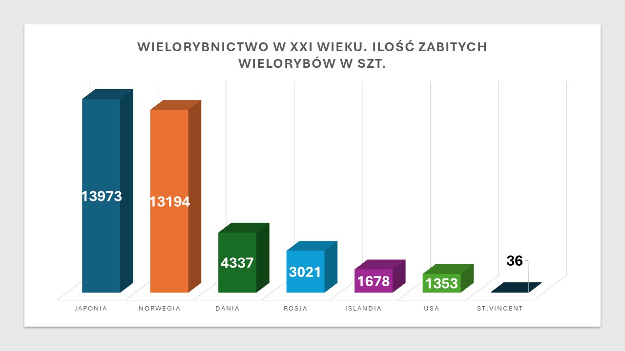 Wykres nr 1. Wielorybnictwo od 2000 do 2023 roku. Ilość zabitych wielorybów w szt. Dane IWC. 