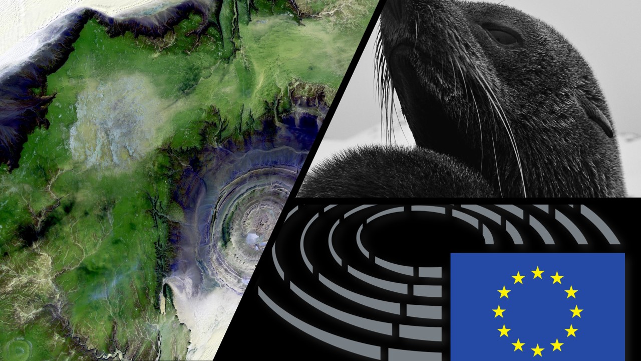 Strategia UE w zakresie przystosowania się do zmiany klimatu. Rezolucja Parlamentu Europejskiego z dnia 17 grudnia 2020 r. w sprawie strategii UE w zakresie przystosowania się do zmiany klimatu.