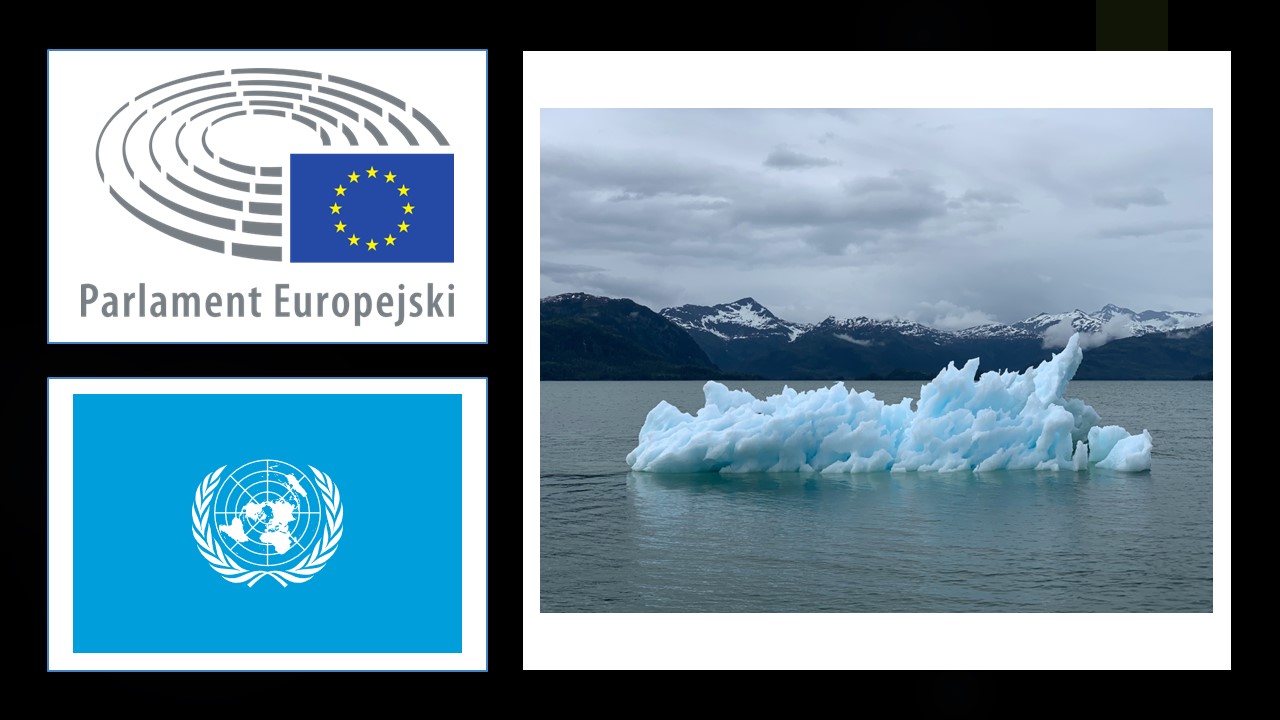 Rezolucja w sprawie konferencji ONZ w Madrycie (COP25) w Madrycie dotyczącej zmiany klimatu z dnia 28 listopada 2019 r.