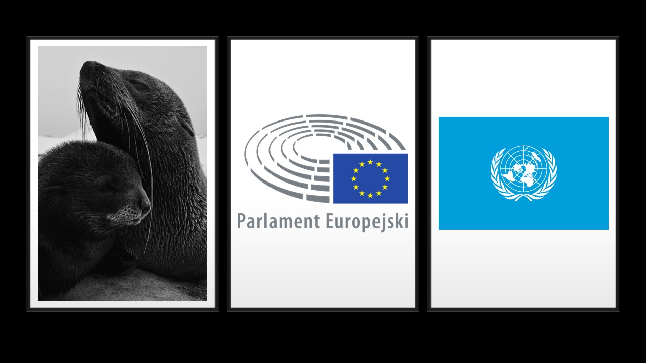 Rezolucja w sprawie konferencji ONZ w Madrycie (COP25) w Madrycie dotyczącej zmiany klimatu z dnia 28 listopada 2019 r.