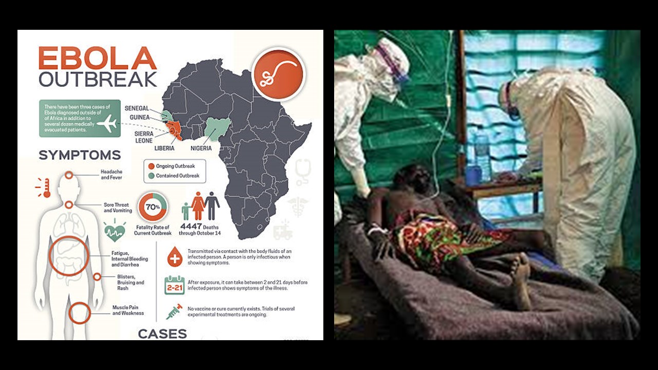 Ebola , znana również jako choroba wirusowa Ebola ( EVD ) i gorączka krwotoczna Ebola ( EHF ), jest wirusową gorączką krwotoczną u ludzi i innych naczelnych , wywoływaną przez ebolawirusy .Wpływ zmian klimatu na zdrowie. Ebola , znana również jako choroba wirusowa Ebola ( EVD ) i gorączka krwotoczna Ebola ( EHF ), jest wirusową gorączką krwotoczną u ludzi i innych naczelnych , .wywoływaną przez ebolawirusy. Wpływ zmian klimatu na zdrowie.