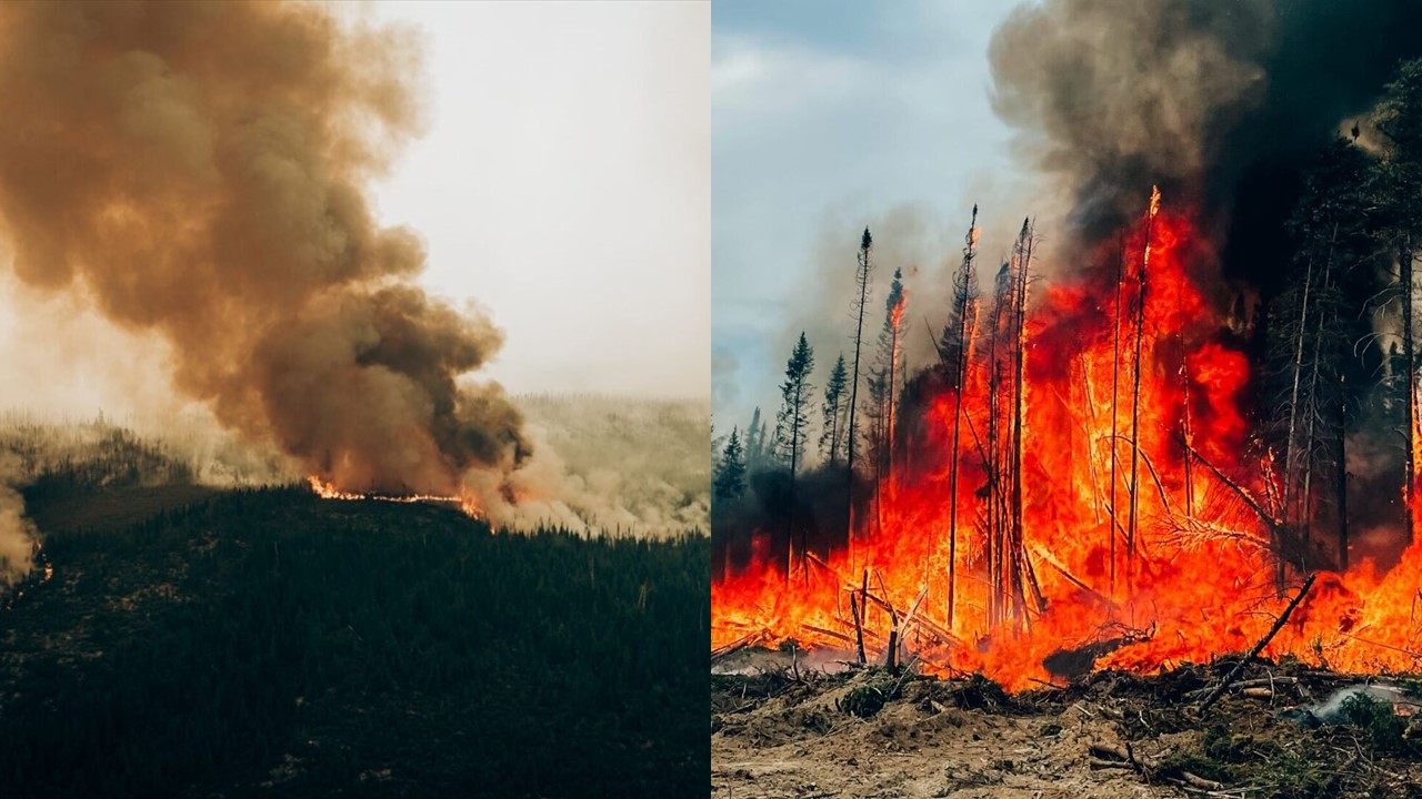 Ekstremalne zjawiska pogodowe w 2023 i 2024 roku Powodzie, susze i pożary w obliczu kryzysu klimatycznego Ekstremalne zjawiska pogodowe w 2023 i 2024 rokuPowodzie, susze i pożary w obliczu kryzysu klimatycznego