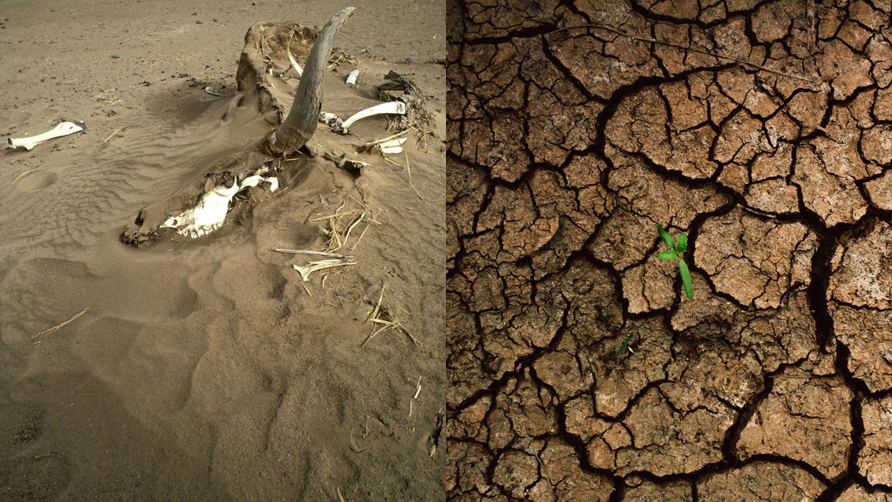 Ekstremalne zjawiska pogodowe w 2023 i 2024 roku Powodzie, susze i pożary w obliczu kryzysu klimatycznego Ekstremalne zjawiska pogodowe w 2023 i 2024 rokuPowodzie, susze i pożary w obliczu kryzysu klimatycznego