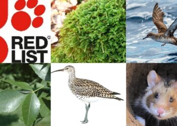 Europejska Czerwona Lista. Krytycznie zagrożone gatunki występujące w Polsce stan na 8 marca 2025 r.