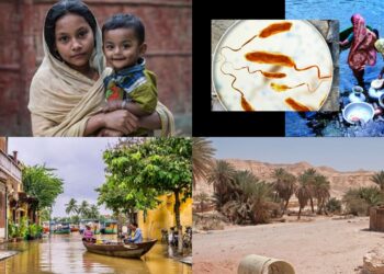 Zmiana klimatu i jej wpływ na migrację